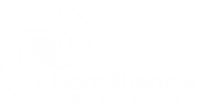 corpshadow bizstore logo